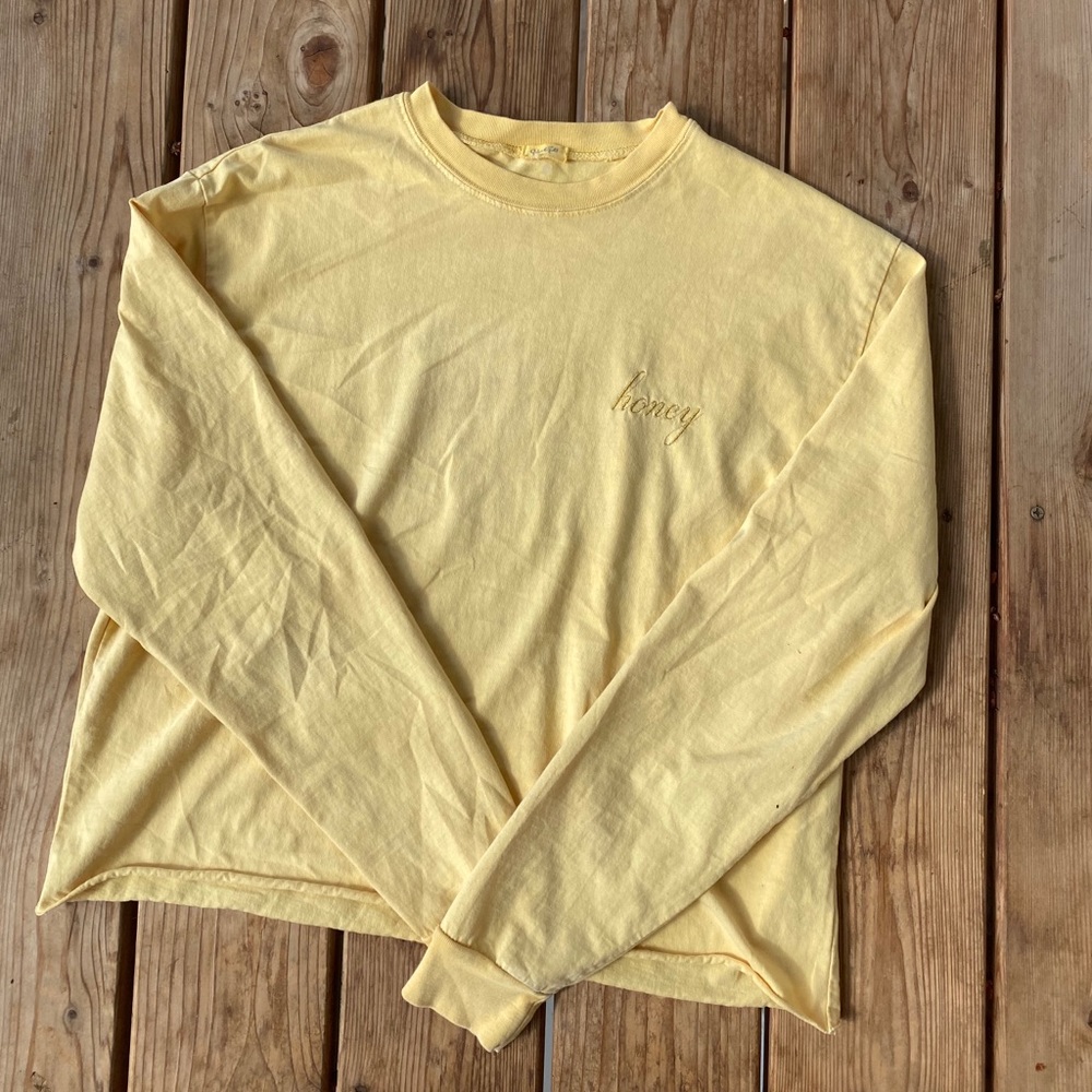 Pacsun longsleeve cropped shirt